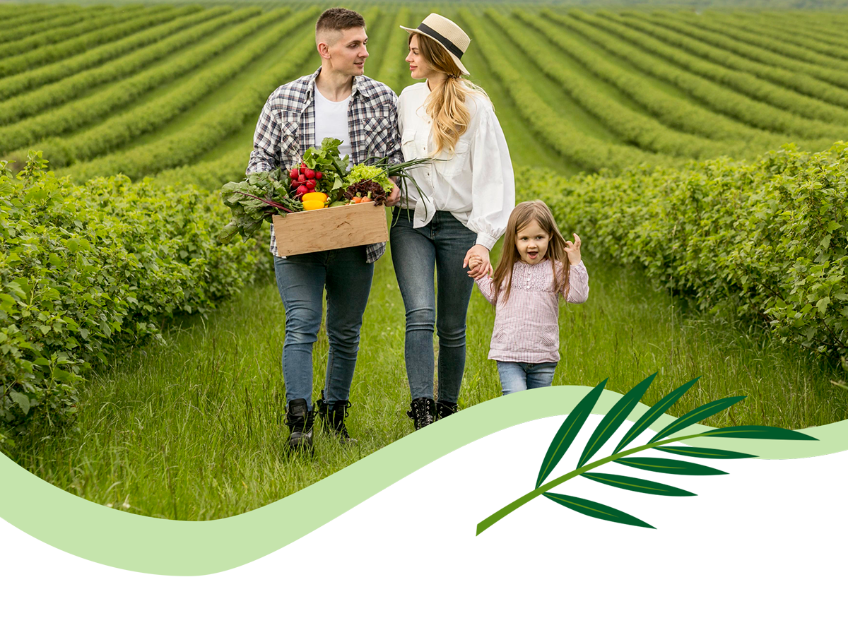 Frozen Fruits & Vegetables