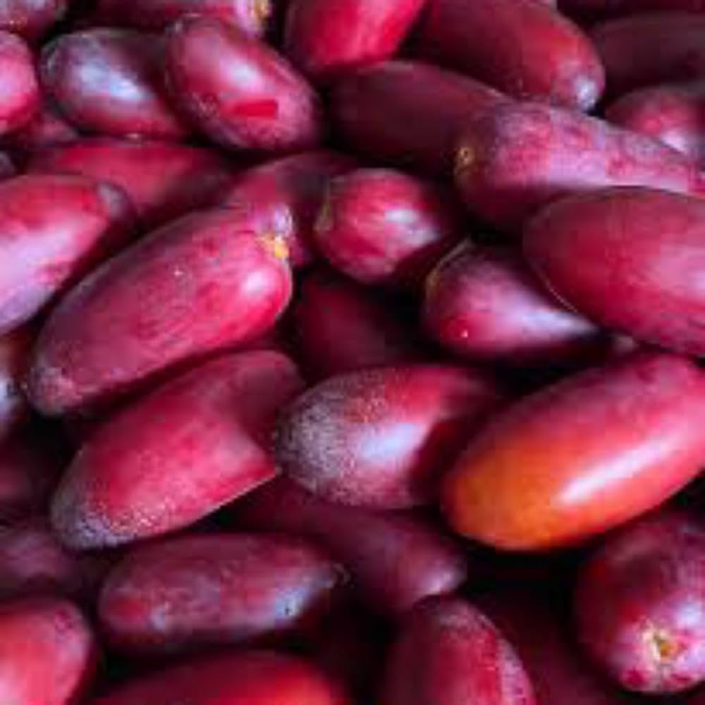 Fresh Zaghlol Dates - Image 2