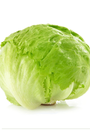 Iceberg lettuce