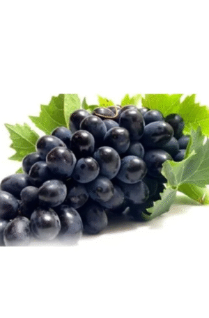 Black-Grapes