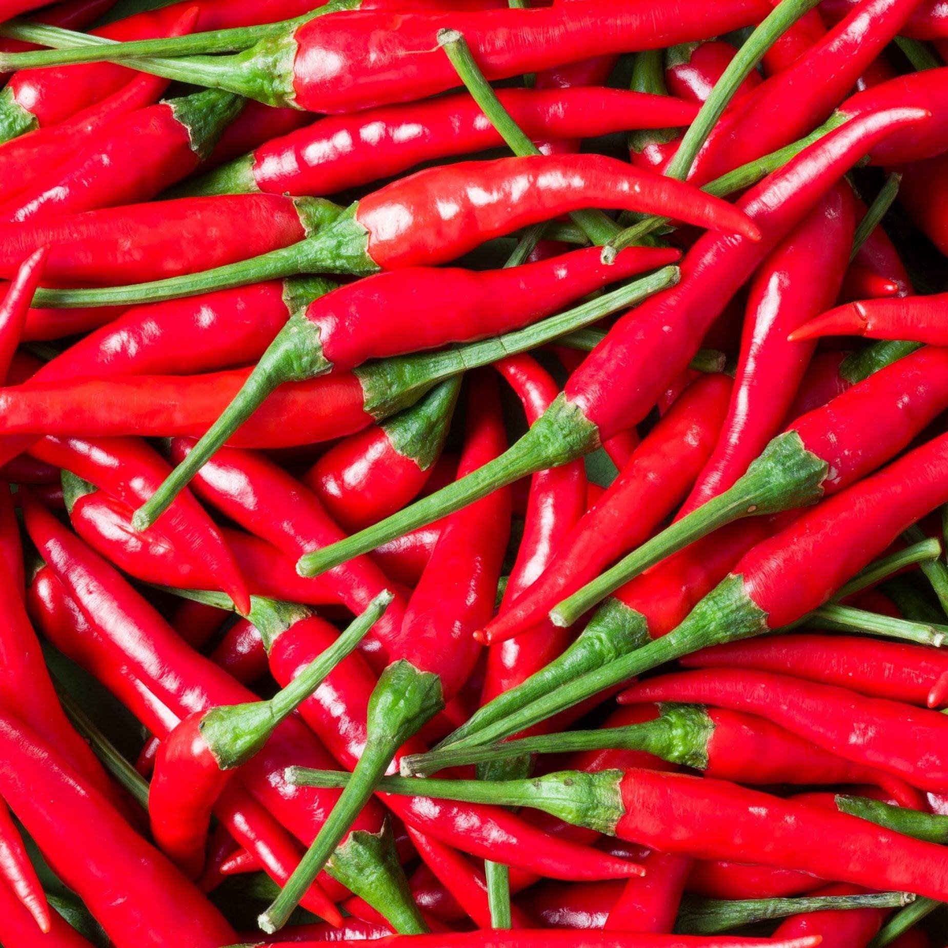 Hot Chili