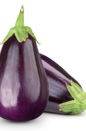 Eggplant